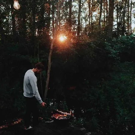 Les Frenelles, A L'oree De La Foret *